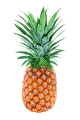 Similar image 2855273