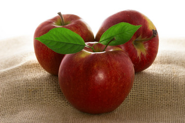 Similar image 2855277