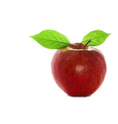 Similar image 2855287