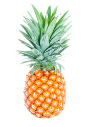 Similar image 2855322