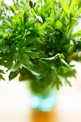 Similar image 2855839