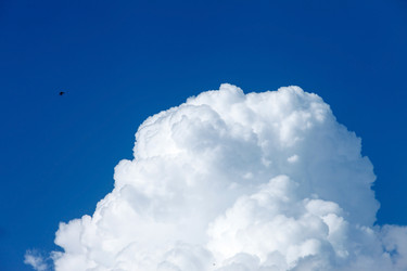 Similar image 2855847