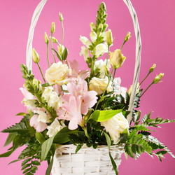 Similar image 2855850