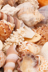 Similar image 2855873