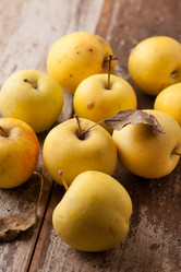 Similar image 2855874