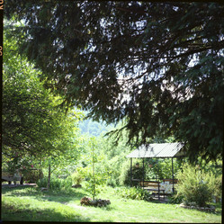 Similar image 2855888