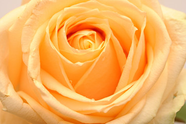 Similar image 2855890