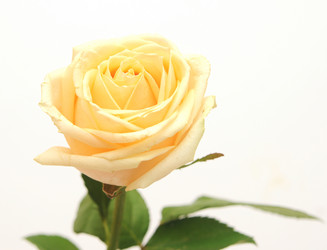 Similar image 2855893