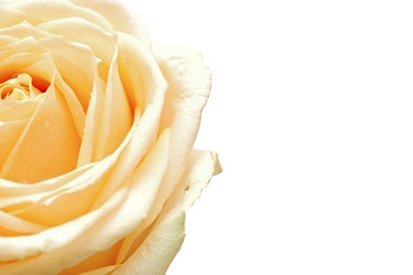 Similar image 2855905