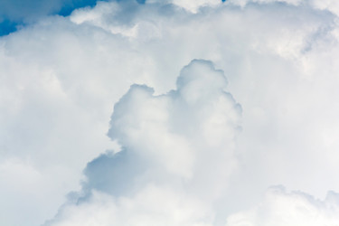 Similar image 2855950