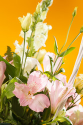 Similar image 2855967