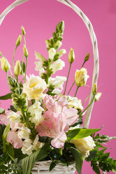 Similar image 2855968