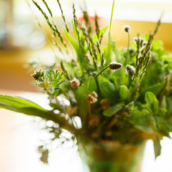 Similar image 2856016