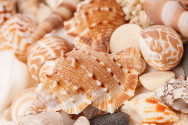 Similar image 2856022