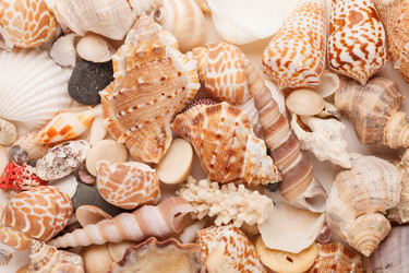 Similar image 2856023