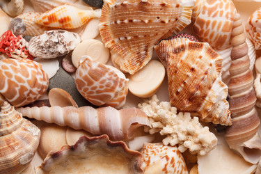 Similar image 2856024