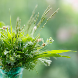 Similar image 2856067