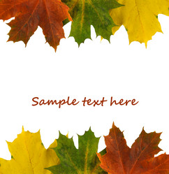 Similar image 2856138