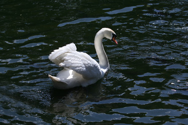 Similar image 2856213