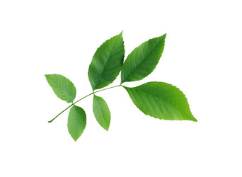 Similar image 2856215