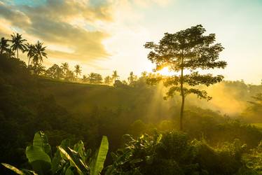 Similar image 2856229