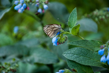 Similar image 2856347