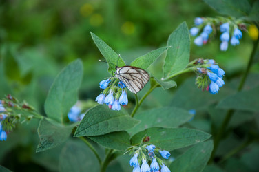 Similar image 2856348