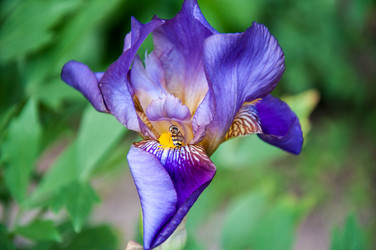 Similar image 2856349