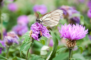 Similar image 2856350