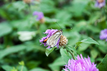 Similar image 2856353