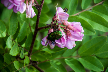 Similar image 2856357