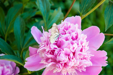 Similar image 2856360