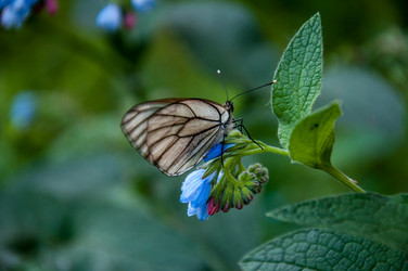 Similar image 2856361