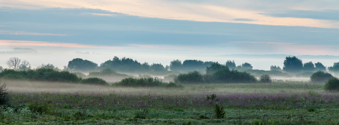 Similar image 2856381