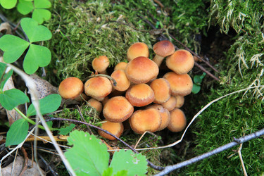 Similar image 2856395