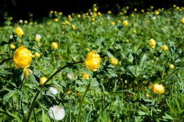 Similar image 2856482