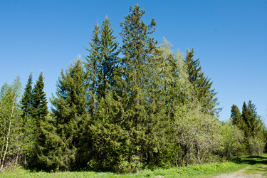 Similar image 2856483