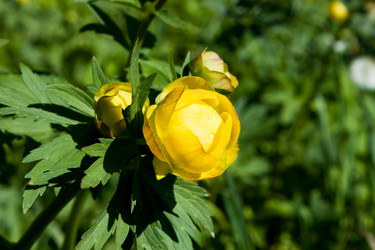 Similar image 2856484