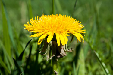 Similar image 2856489