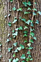 Similar image 2856507