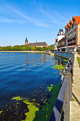 Similar image 2856525