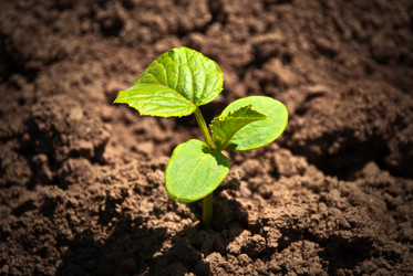 Similar image 2856569