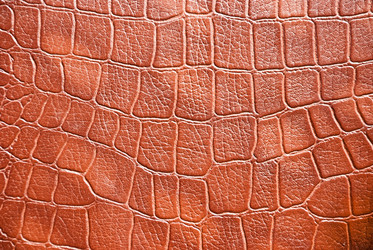 Similar image 2856571