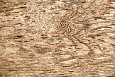 Similar image 2856572