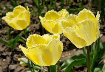 Similar image 2856596