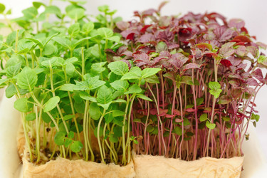 Similar image 2856657