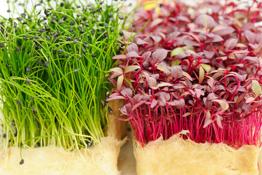 Similar image 2856658