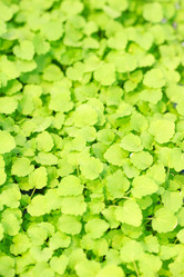 Similar image 2856660