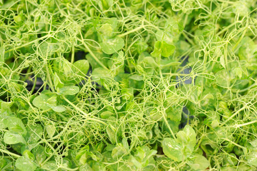 Similar image 2856661