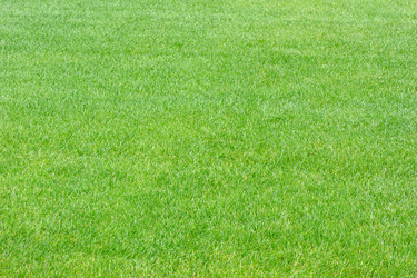 Similar image 2856663